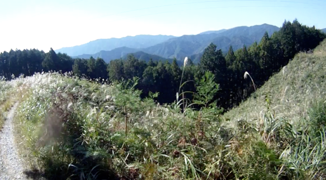 すすき野原の絶景林道 – 伝田石線